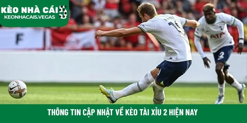 Thông tin cập nhật về kèo tài xỉu 2 hiện nay