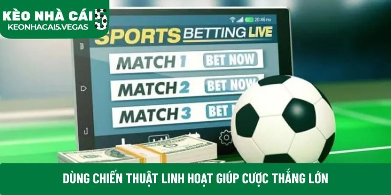 Dùng chiến thuật linh hoạt giúp cược thắng lớn
