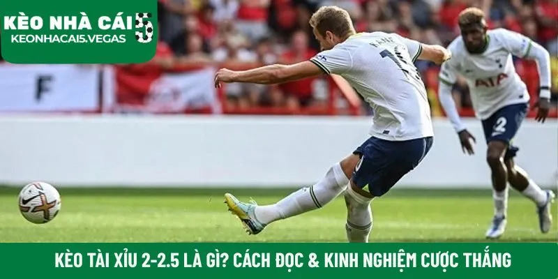 Kèo tài xỉu 2-2.5 là gì