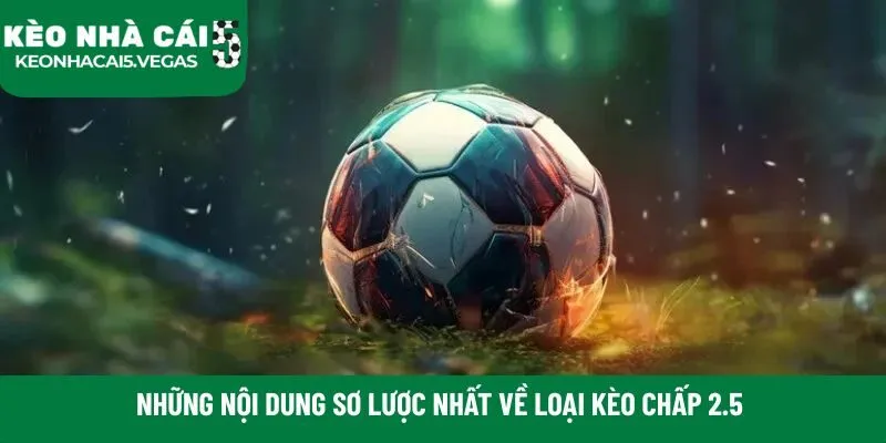 Những nội dung sơ lược nhất về loại kèo chấp 2.5