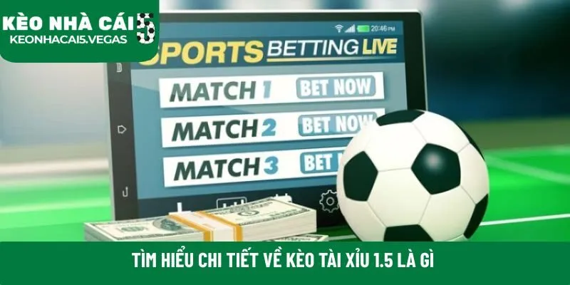 Tìm hiểu chi tiết về kèo tài xỉu 1.5 là gì